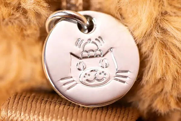 Bartholomew Bear Pouch